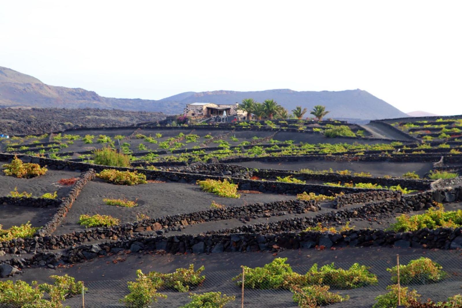 Casa Rural Vega De Timanfaya Uga Exterior photo